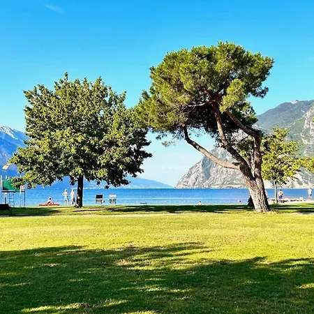 Bellariva Riva